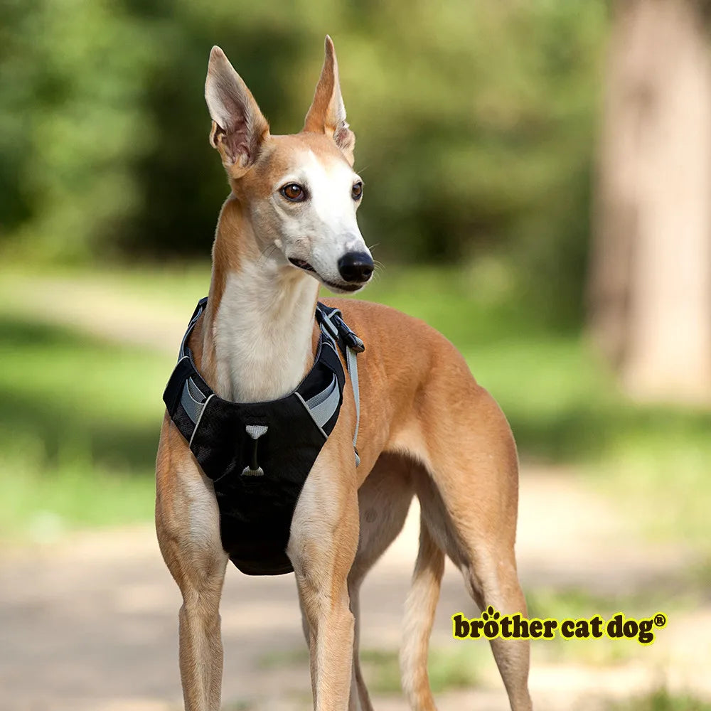 Pet Dog Harness 3M Reflective Collar Harnesses For Dogs Pets Service Dog Adjustable Soft German Shepherd Pet Shop Products 8813