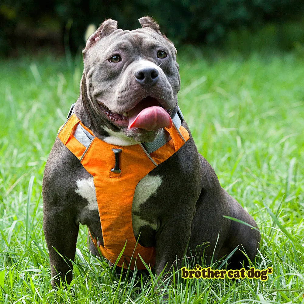 Pet Dog Harness 3M Reflective Collar Harnesses For Dogs Pets Service Dog Adjustable Soft German Shepherd Pet Shop Products 8813