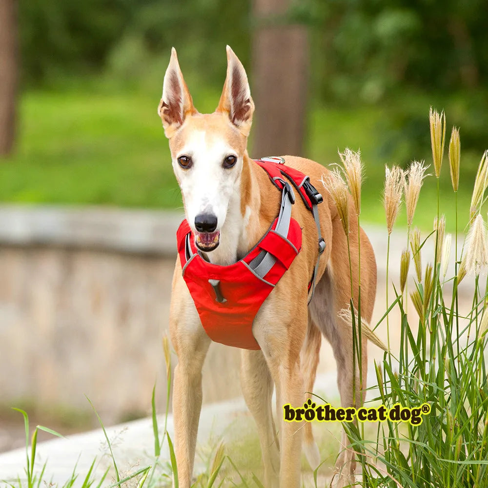 Pet Dog Harness 3M Reflective Collar Harnesses For Dogs Pets Service Dog Adjustable Soft German Shepherd Pet Shop Products 8813