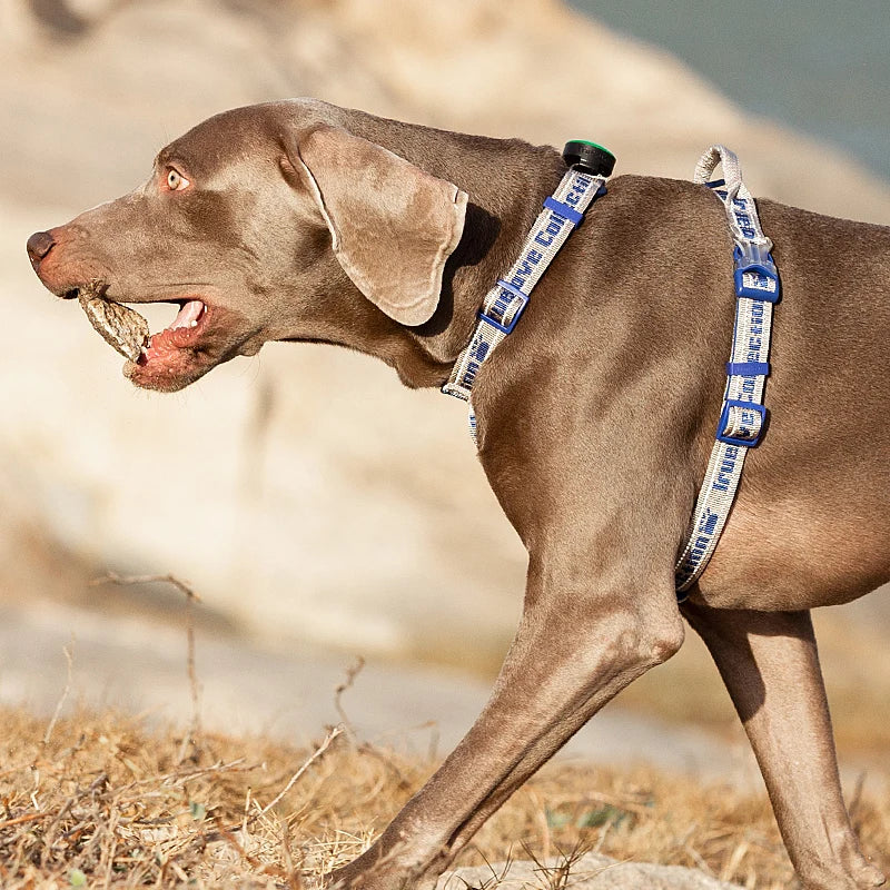 Truelove No Pull Dog Harness Tactical Service Pet Lift Breathable Mesh Reflective Sport Padded Dog Vest TLH6172