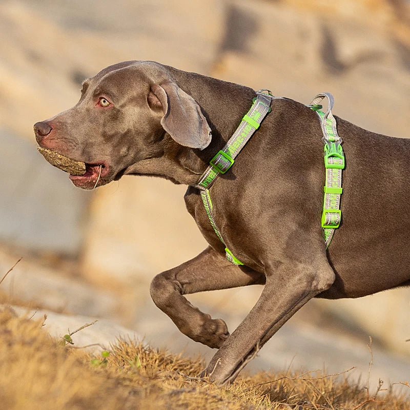 Truelove No Pull Dog Harness Tactical Service Pet Lift Breathable Mesh Reflective Sport Padded Dog Vest TLH6172